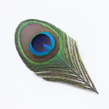 20pcs Reaalne Peacock Feather Kaunistatud paabulinnu silma kostüümid Kaelakee, kõrvarõngad aksessuaarid pulm Dekoratiivne 10-12cm
