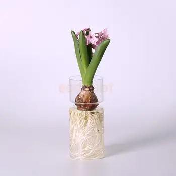 Läbipaistev Hüatsint Klaasist Vaas Lille Planter Pot DIY Terrarium Konteiner Decor