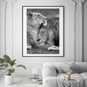 Kaasaegne Aafrika Loomade Pildid, Must ja Valge Lõvi Pere Pildid Lõuend Maalid Seina Art Postreid ja Plakateid Tuba Decor