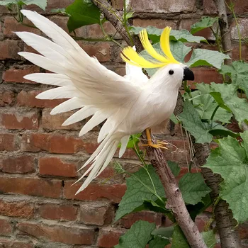 Vaht ja suled umbes 20x30cm levib tiivad valged suled papagoi lind käsitöö home garden teenetemärgi kingitus p0207