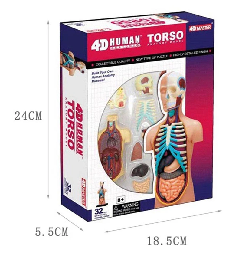 4d master puzzle Kokkupanek mänguasi inimkeha elundi anatoomiline mudel meditsiini õpetamise mudel