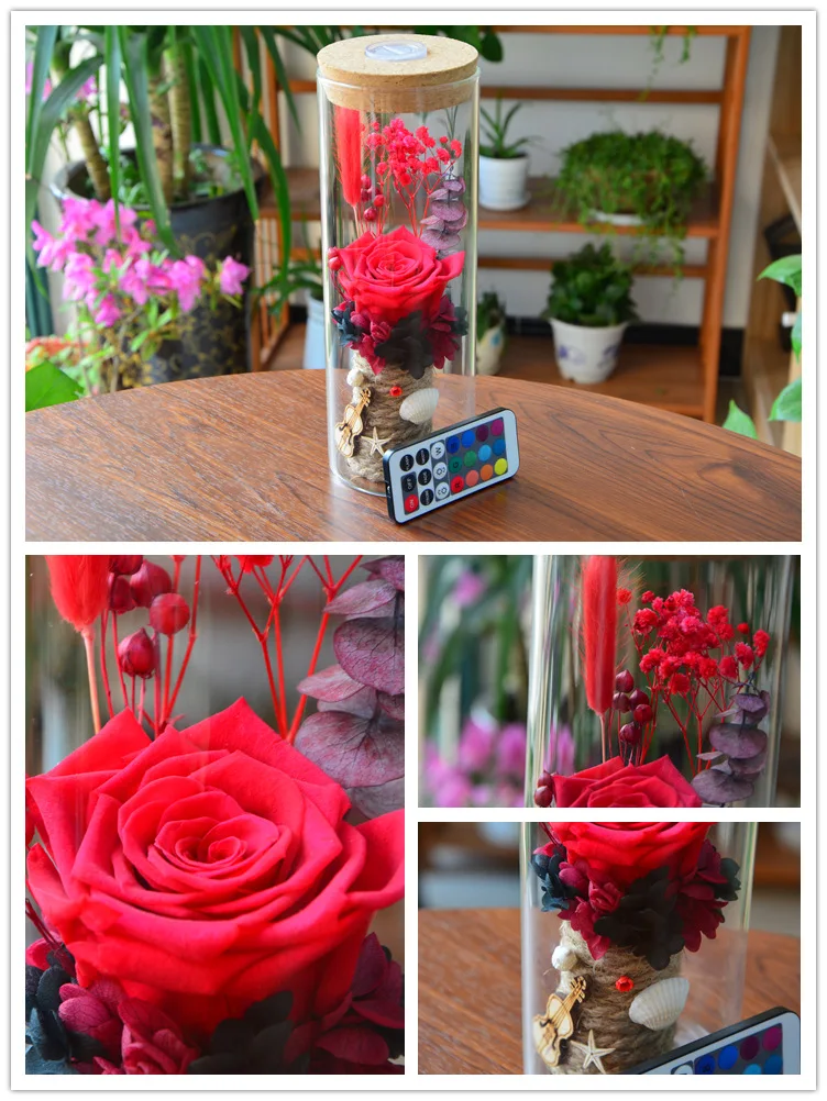 Uudne Jõulud Valentine kingitused Home Decor Klaasist Kate Värsked, Konserveeritud Roosi Lille Surematu Eternal Rose Light
